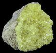 Sulfur Crystals on Matrix - Bolivia #51577-1